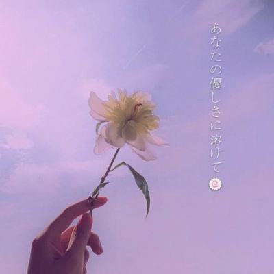 海龟蘑菇汤正版下载