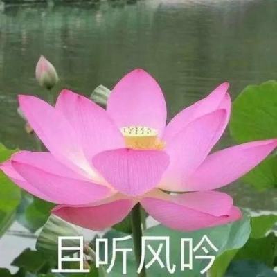 神影归来传奇游戏